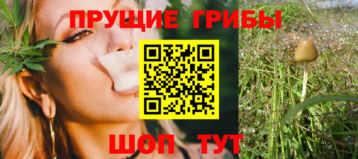 Псилоцибиновые грибы ЛСД  Псилоцибиновые грибы Psilocybe  Свободный  Вход с VPN 